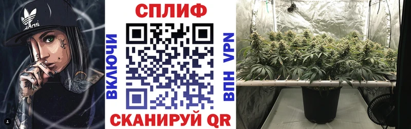 Виды наркотиков купить Дедовск COCAIN  ГАШ  кракен ССЫЛКА  Конопля  ГЕРОИН 