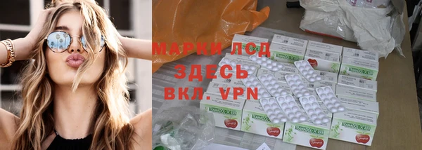 спиды Аркадак