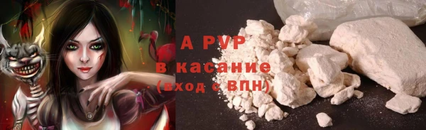 спиды Аркадак