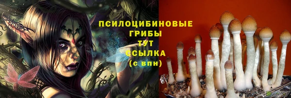 прущая мука Армянск