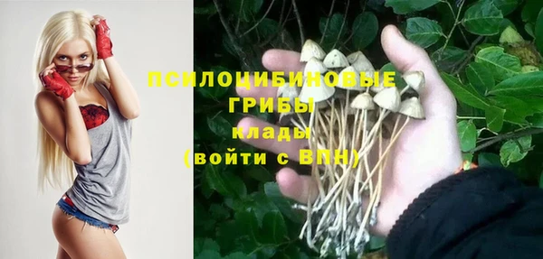 спиды Аркадак