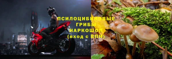 прущая мука Армянск