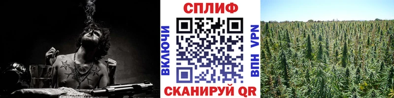 Канабис марихуана Дедовск